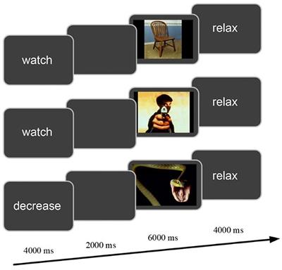 Source localization and functional network analysis in emotion cognitive reappraisal with EEG-fMRI integration